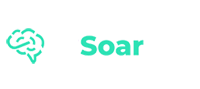 Логотип TiSOAR NG
